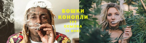 индика Белокуриха