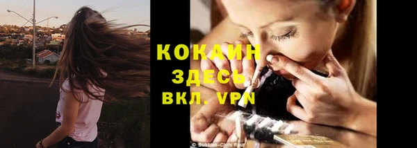 сатива Белоозёрский