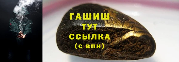 индика Белокуриха