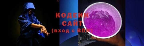 индика Белокуриха