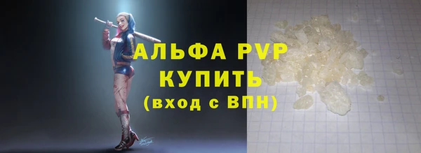 индика Белокуриха