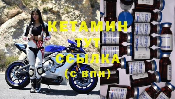 индика Белокуриха