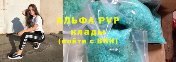 сатива Белоозёрский