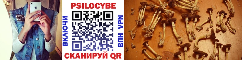 Галлюциногенные грибы MAGIC MUSHROOMS гидра ссылка darknet Telegram Олёкминск